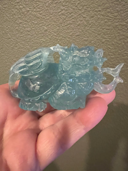 Aquamarine Dragon Turtles