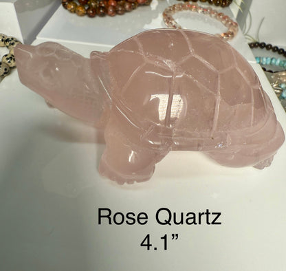 Turtle Carvings