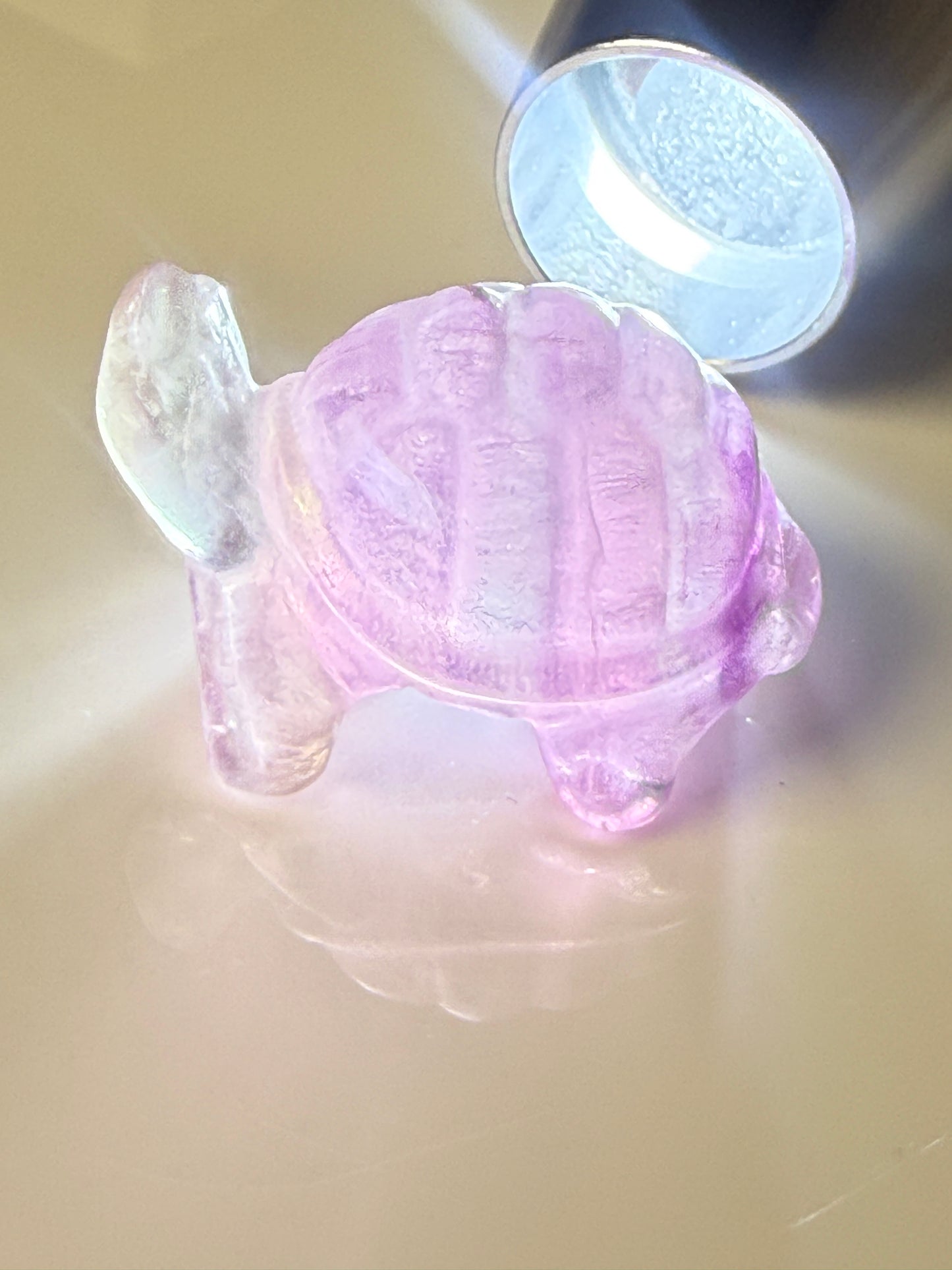 Turtle Carvings