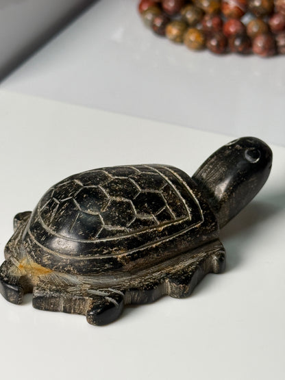 Turtle Carvings