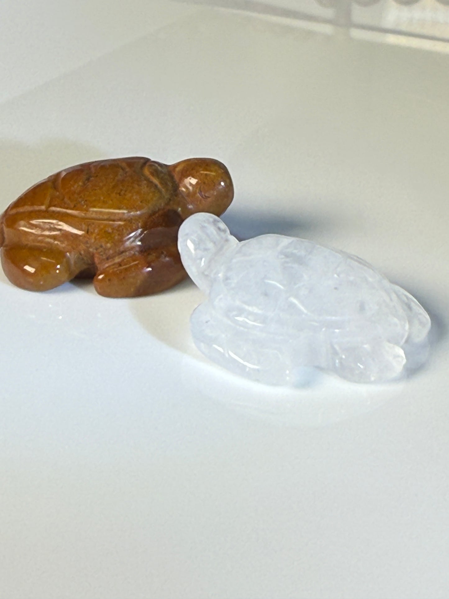 Turtle Carvings